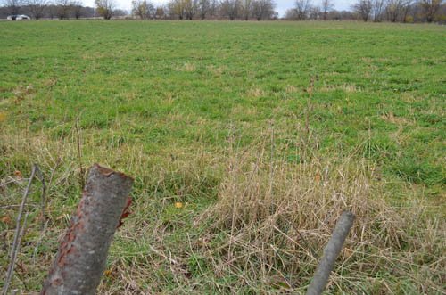 Property photo 29 - 80 Acres & Home - Property Offered in 4 Tracts from 2.3 to 30.0 Acres